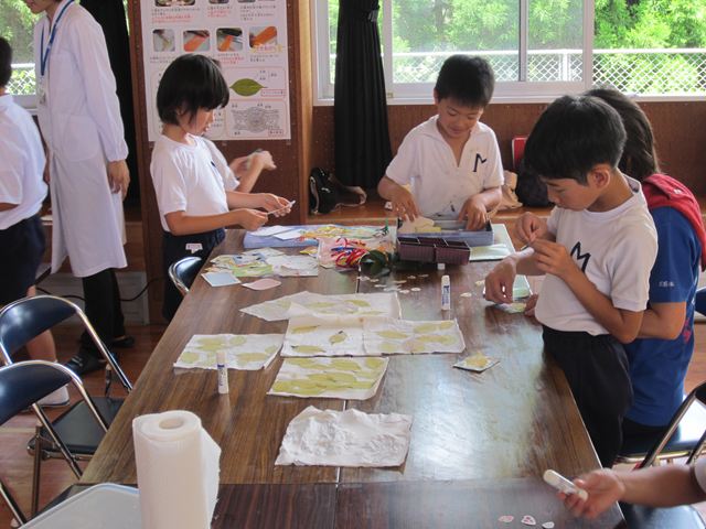 葉脈標本しおり３